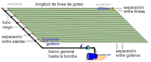 riego goteo